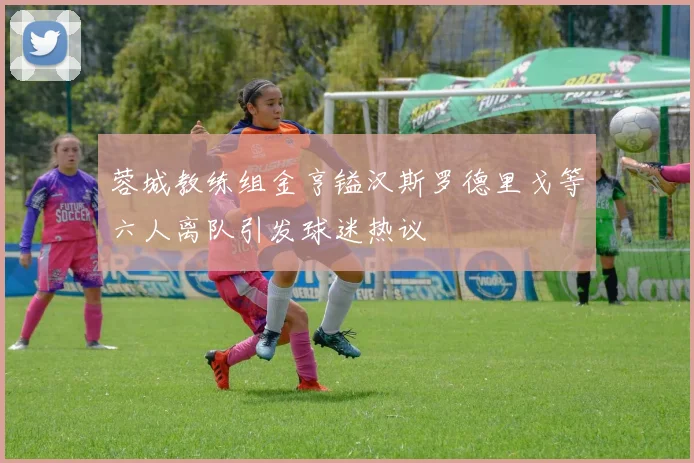 蓉城教练组金亨镒汉斯罗德里戈等六人离队引发球迷热议